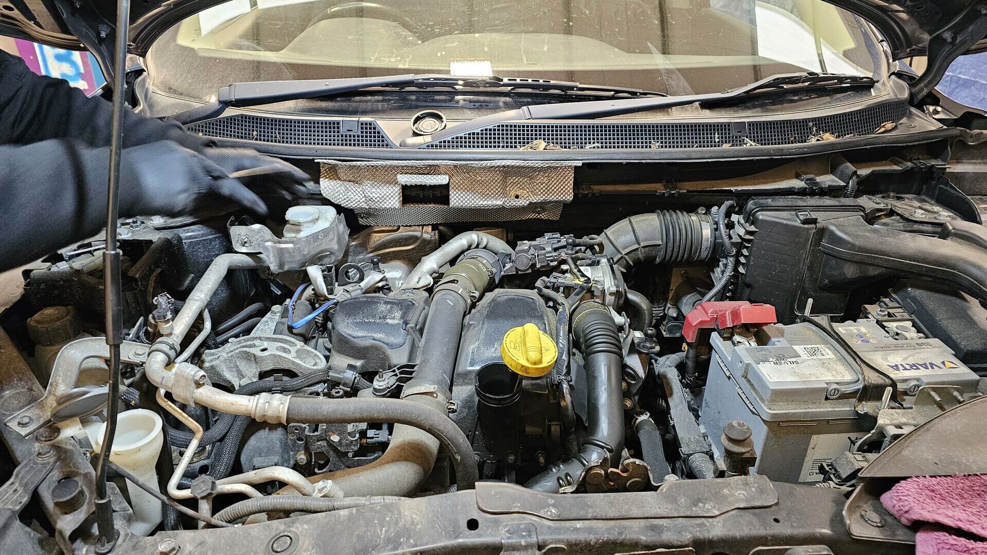 Timing Chains & Wet Belts